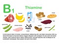 Rectangular poster with food products containing vitamin B1. Thiamine. Medicine, diet, healthy eating, infographics. Products with