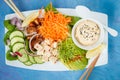 Rectangular rainbow vegan plate with vegetables, tofu and hummus