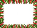 Rectangular red and green bird chili frame