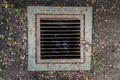 Rectangular sewer with a rust and holes Royalty Free Stock Photo