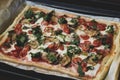 Rectangular shape and thick hand made romana`s pizza traditional italian pizza margherita closeup Royalty Free Stock Photo