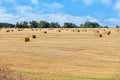 Rectangular sheaves of straw are neatly scattered across a harvested field of wheat Royalty Free Stock Photo