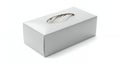 Facial Tissues in Silver Box on Isolated White Background for Cleanliness and Hygiene in Healthcare Office Royalty Free Stock Photo
