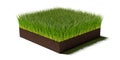 Rectangular square patch or island of long uncut green grass on brown soil ground layer isolated on white background, spring or Royalty Free Stock Photo