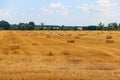 Rectangular straw bales on field after the grain harvest
