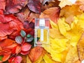 Rectangular transparent glass perfume bottle and autumn leaves