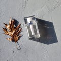 Rectangular transparent glass perfume bottle golden leaf on a on a gray concrete table. Square photo