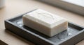 A rectangular white soap bar rests on a dark, rectangular soap dish. The soap\'s Royalty Free Stock Photo
