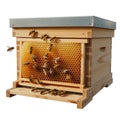 A rectangular wooden bee box hive with honeycomb and bees on a tray... isolated on a transparent background Royalty Free Stock Photo