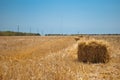 Rectangular haystacks on a field of straw, on a sunny summer day, against a background of sky and trees Royalty Free Stock Photo