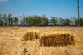 Rectangular haystacks on a field of straw, on a sunny summer day, against a background of sky and trees Royalty Free Stock Photo