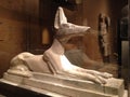 Recumbent Anubis Statue in Metropolitan Museum of Art.