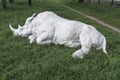 Recumbent rhino