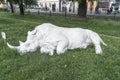 Recumbent rhino