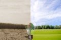 Recyclable environment human hands holding big plant tree in light Royalty Free Stock Photo