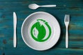 Recyclable plastic dish Royalty Free Stock Photo