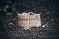 Recycle bin full of rubbish standing in nature surrounded by autumn leaves Royalty Free Stock Photo