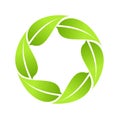 Recycle - green leaves circle logo, vector Royalty Free Stock Photo