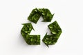 Recycle Logo Formed by Leaves: A Visual Ode to Eco-Friendly Passion Royalty Free Stock Photo