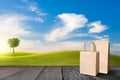 Recycle paper bag on old wooden floor beside green field on slope and tree with blue sky and clouds background Royalty Free Stock Photo