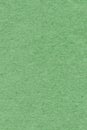 Recycle Paper Light Kelly Green Extra Coarse Grain Grunge Texture Sample