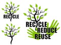 Reducir verde árbol 