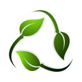 Recycle symbol made of green rotating leaves. Recycle leaf vector design Royalty Free Stock Photo