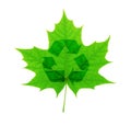 Recycle symbol over green maple leaf Royalty Free Stock Photo