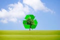 Recycle waste to protect the environment and trees.