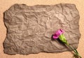 Recycle wrinkle paper with pink canation flower Royalty Free Stock Photo