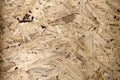 Recycled compressed wood chipboard. Pressed Wooden Panel & x28;OSB& x29;.