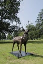 Buck - recycled metal art sculpture of a Buck Deer Royalty Free Stock Photo