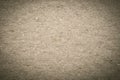 Recycled sepia paperboard texture Royalty Free Stock Photo
