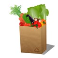 Recycled shopping paper bag with veggies
