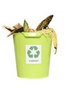 Recycling bin with ort Royalty Free Stock Photo