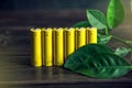 Recycling and disposal of alkaline batteries. Concept of energy friendly to the environment and ecology Royalty Free Stock Photo