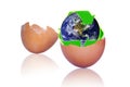Recycling Eggshells to Protect Planet Earth Royalty Free Stock Photo