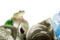 Recycling frog Royalty Free Stock Photo