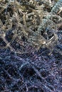 Recycling swarf. Metal shavings background. Royalty Free Stock Photo