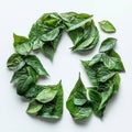 Recycling symbol formed from green leaves Royalty Free Stock Photo