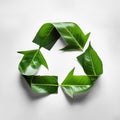 Recycling symbol made from leaves Royalty Free Stock Photo