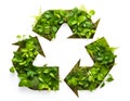 Recycling symbol made of green plants and leaves - isolated on white background Royalty Free Stock Photo