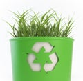 Recycling trash bin with growing Royalty Free Stock Photo