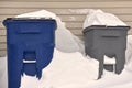 Garbase and recycling cans sit outside in the snow