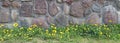 Red  abandoned old granite castle  wall on a hill with flowering dandelions panorama Royalty Free Stock Photo