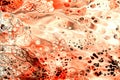 Red abstract background. Multicolor alcohol ink blots and stains flow, wallpaper print. Creative backdrop Royalty Free Stock Photo