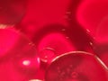 Red Abstract Bubble Background