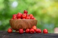 Red Acerola Cherry in wooden bowl