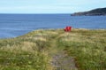 Red Adirondack chairs on the edge of a cliff overlooking the ocean