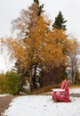 Red adirondack chairs between seasons in Canada Royalty Free Stock Photo